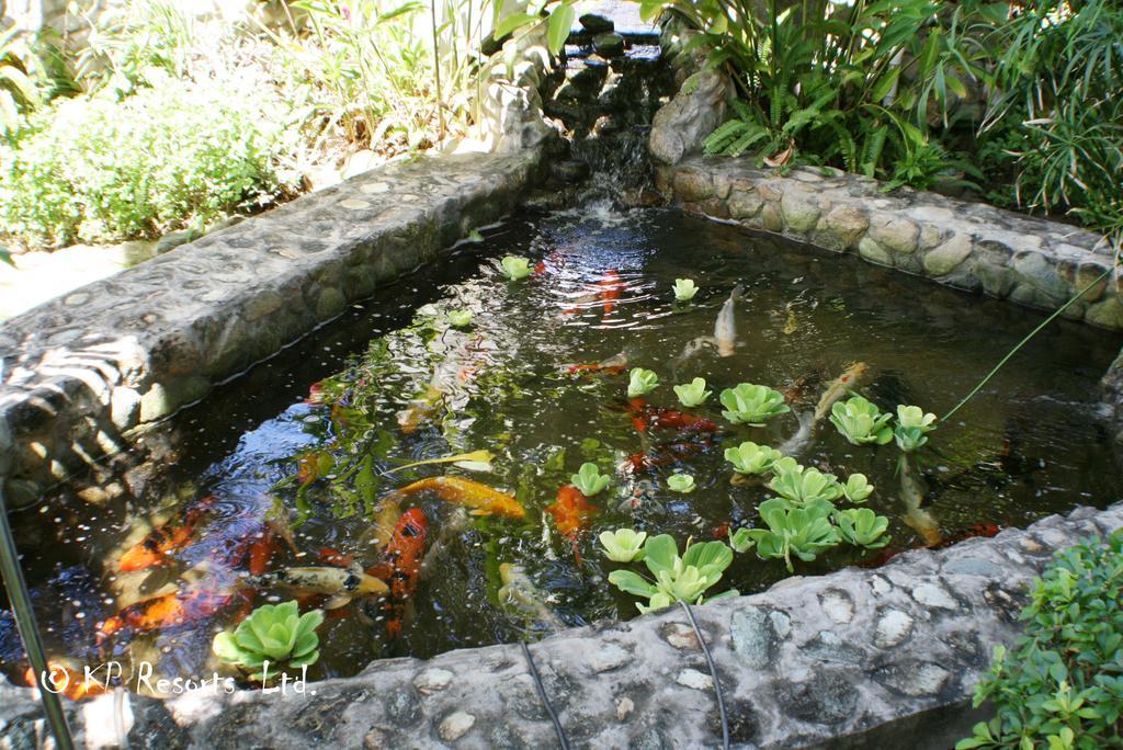 Enchanted Waters Tobago Buccoo Dış mekan fotoğraf
